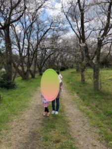 桜の木のトンネル