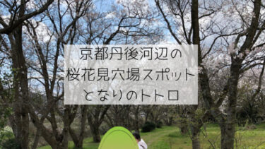 京都丹後桜花見の穴場スポット河辺