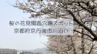 桜の花見関西の穴場スポット京都府京丹後市の川沿いが絶景！