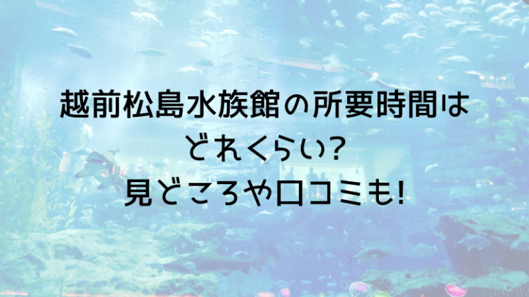 越前松島水族館の所要時間はどれくらい?見どころや口コミも!