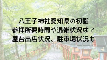 八王子神社愛知県の初詣参拝所要時間や混雑状況は？屋台出店状況、駐車場状況も