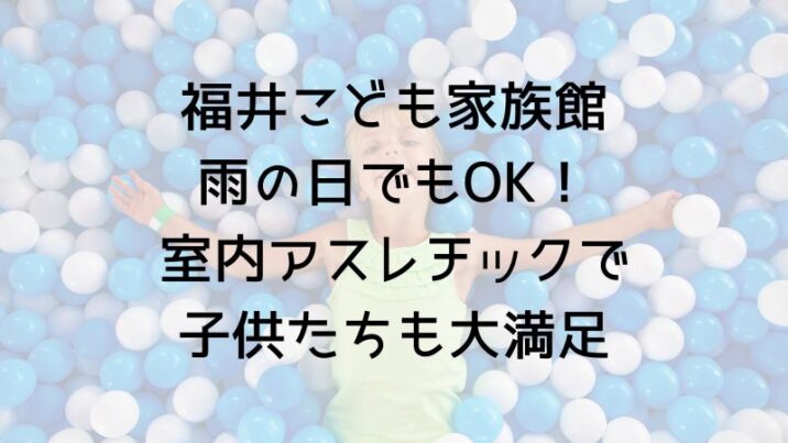 福井こども家族館のブログ。雨の日でもOK室内アスレチックで子供たちも大満足
