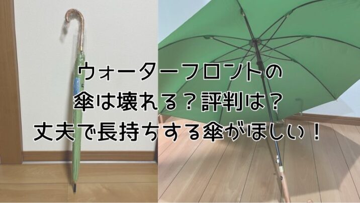 ウォーターフロントの傘は壊れる？評判は？丈夫で長持ちする傘がほしい！