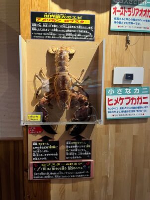 鳥取県かにっこ館