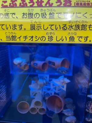 鳥取県かにっこ館