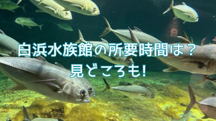 白浜水族館の所要時間は？ 見どころも!