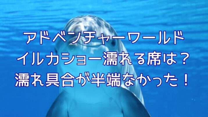 アドベンチャーワールドのイルカショー濡れる席は？濡れ具合が半端なかった！