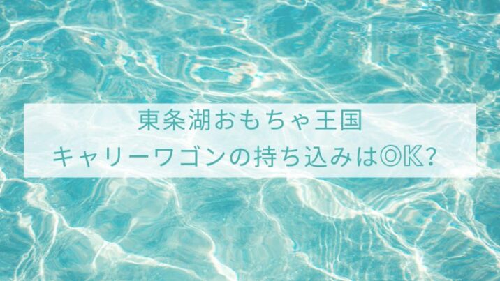 東条湖おもちゃ王国 キャリーワゴンの持ち込みはOK？