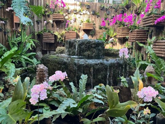 名護パイナップルパーク